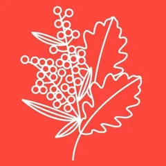 Logo Lycée Condorcet, The international School of Sydney
